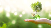 Ways to Keep a Little Green in Your Planet