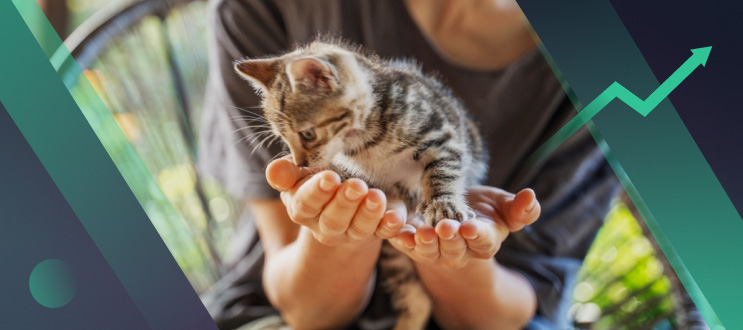 How Much Does It Cost to Own a Cat? A Realistic 2026 Cost Guide